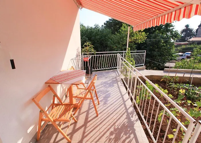 Damjan * 브리스트